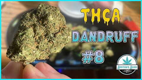 THCA Dandruff #8 Review - BostonsBuds