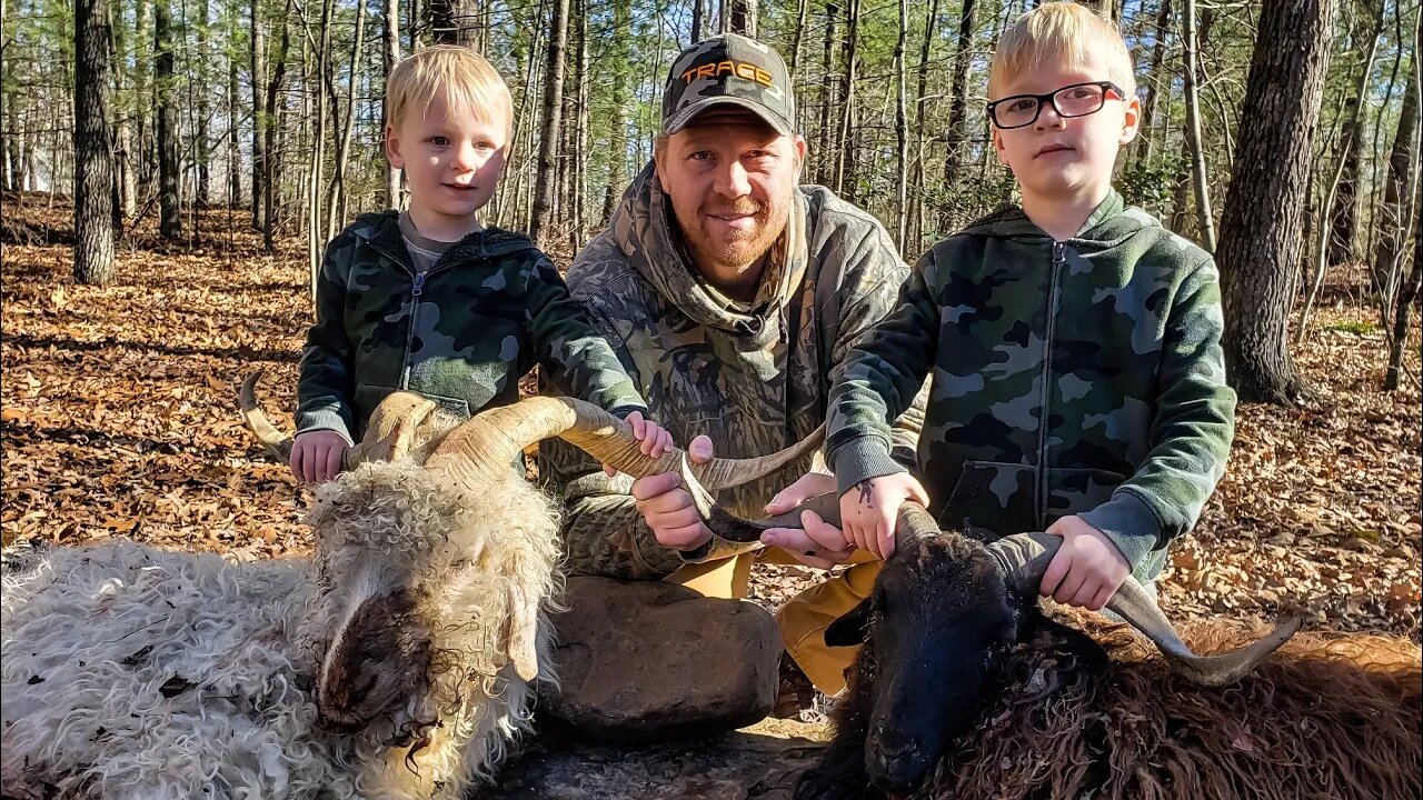 Ram for Dinner - Cooking and Eating - YUMMY