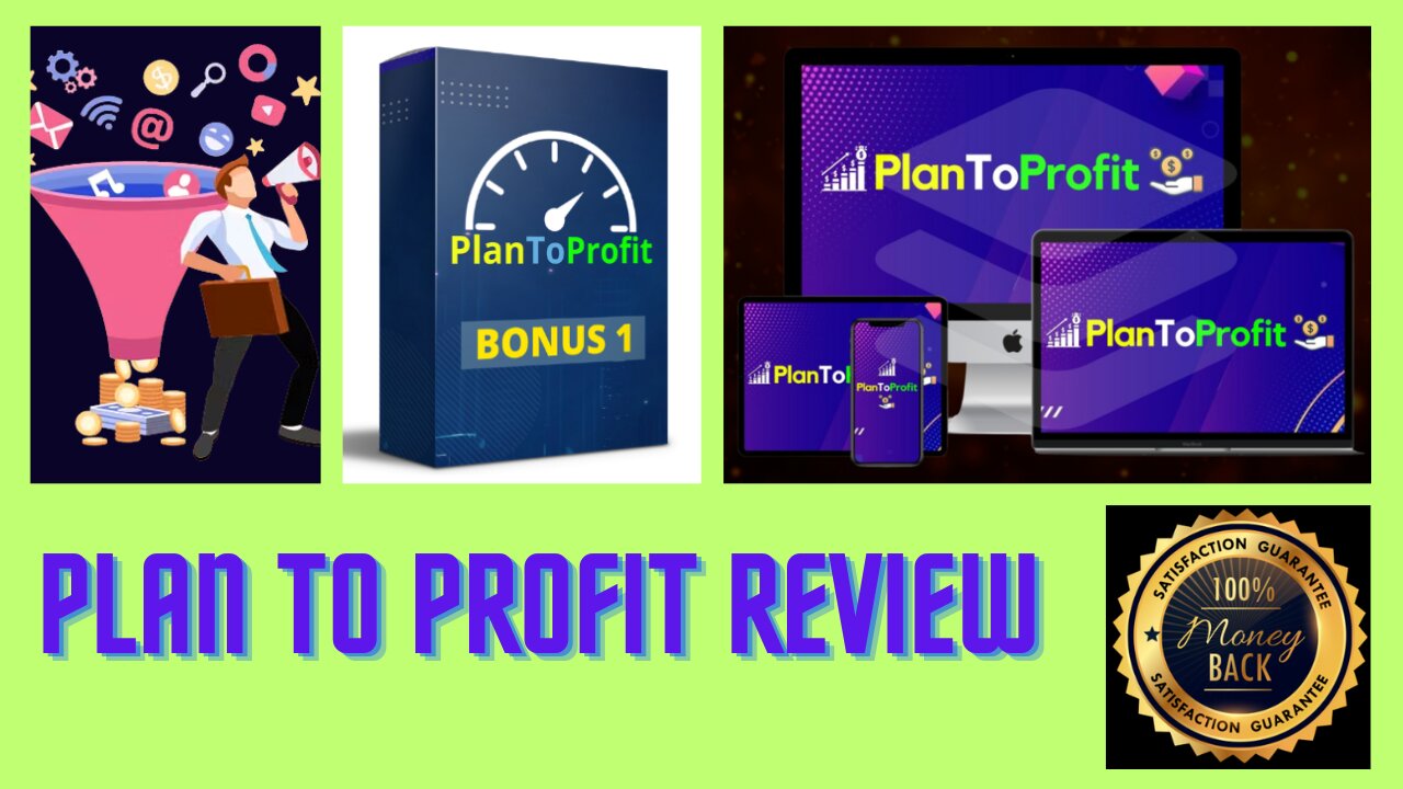 Plan To Profit Review