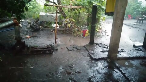 Rainy Days(1)