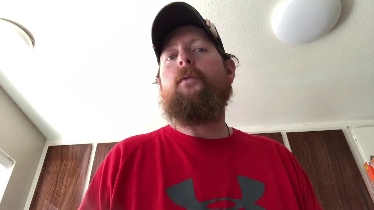 QSP Penguin give away (ended 5/25/2020)