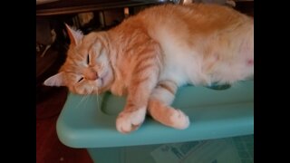 Sleepy Pinky