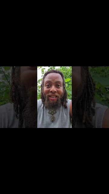 The Purpose Of Life Is Growth & Development! Almighty Nature Will Always Show You The Truth ☀️