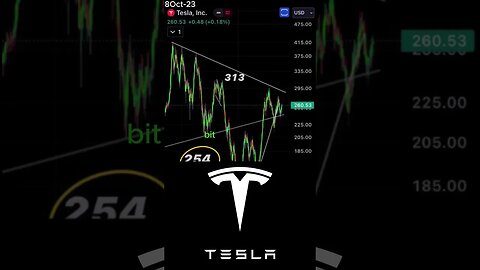 Tesla's Profitability Gamble: The Electric Car Market -October 8, 2023 #shorts