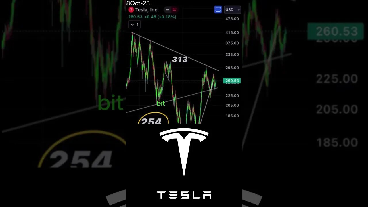 Tesla's Profitability Gamble: The Electric Car Market -October 8, 2023 #shorts