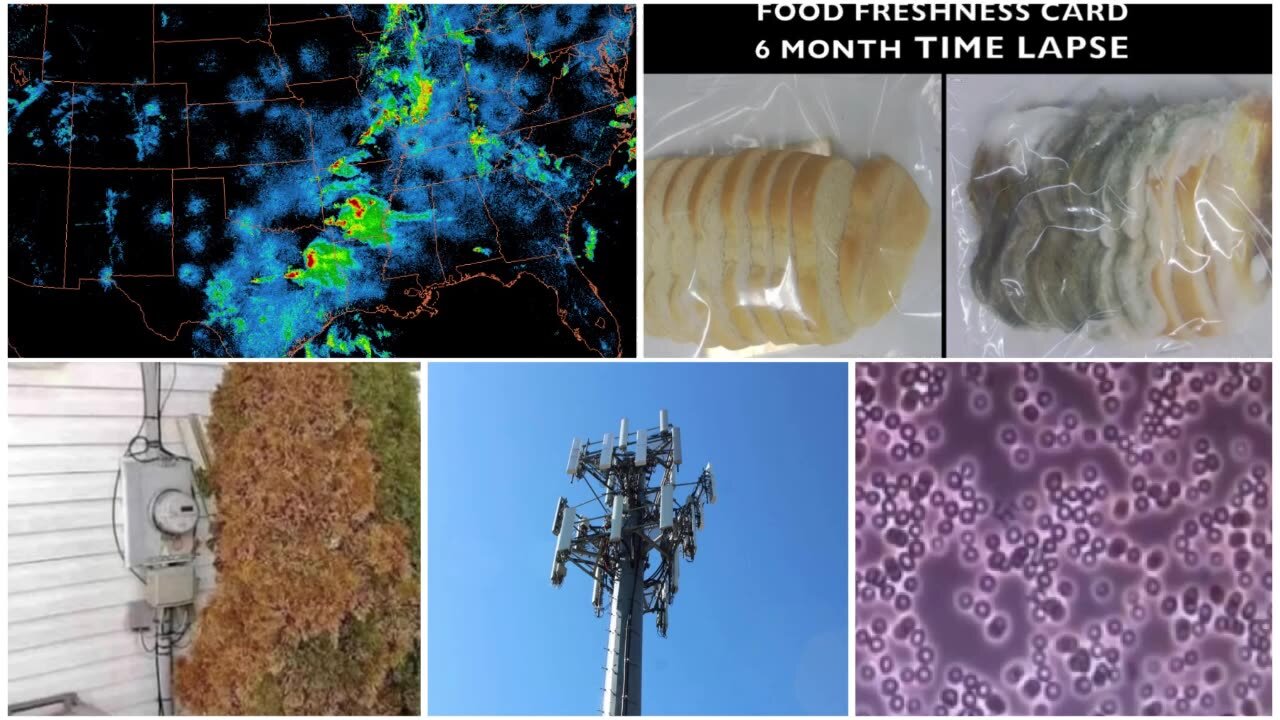 12/18/24 Grounding vs Anxiety, EMF, RF frequencies. Can you protect yourself and your kids? Are baby monitors hurting your baby?