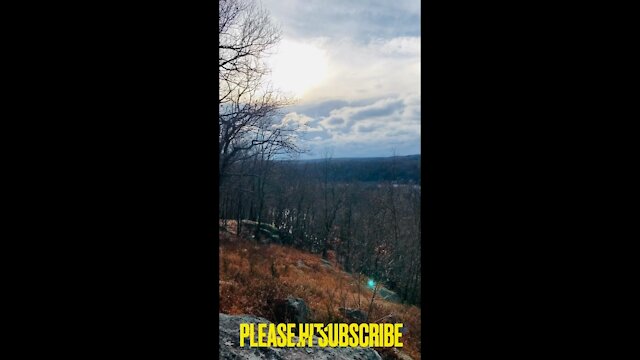 Love the View