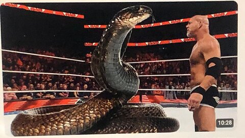 WWE 2K22 - Goldberg vs Snake - FULL MATCH | WWE november 26 2024