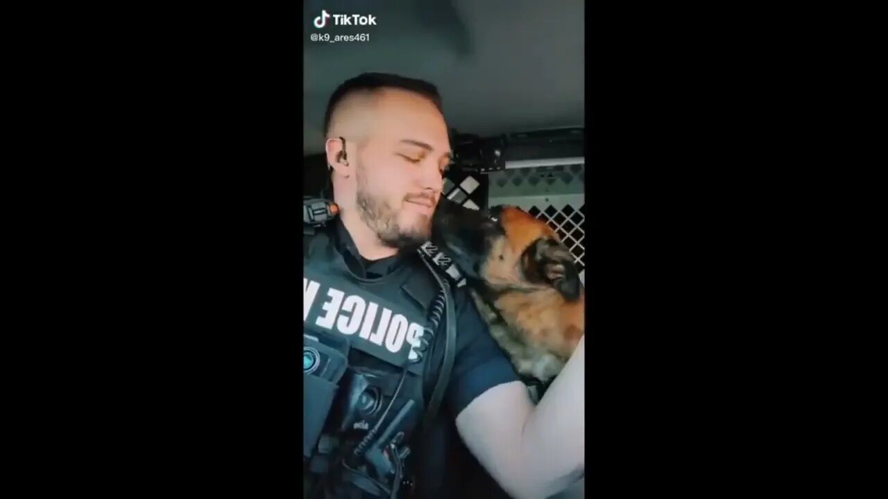 🐕‍🦺 K9 Police Dogs 2021 #shorts