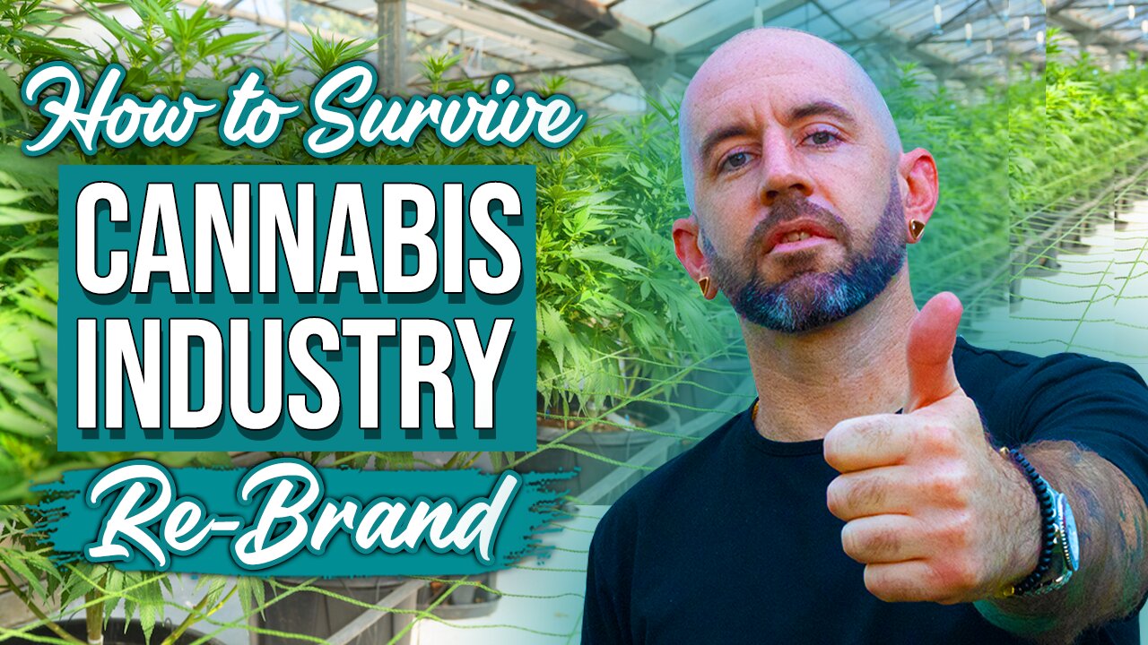 Change The Stigma Of Your Business Reputation | Cannabiz Academy