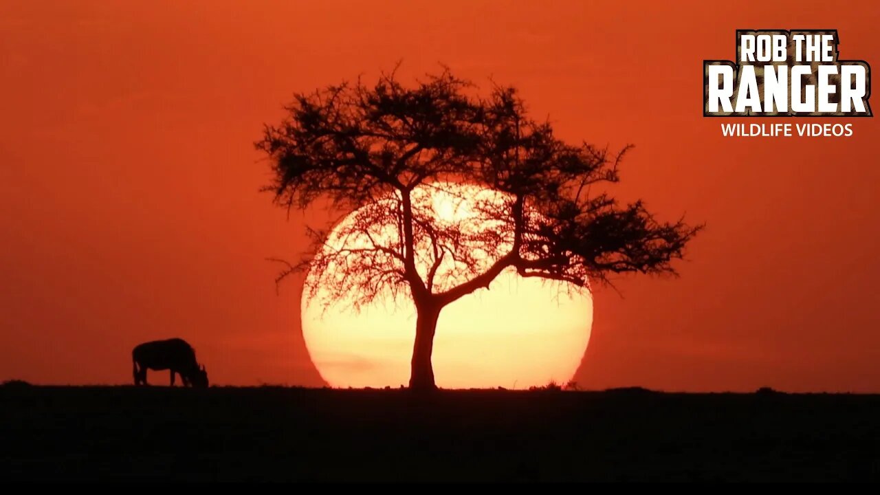 Sunset Over The Plains | Lalashe Mara Ripoi Safari