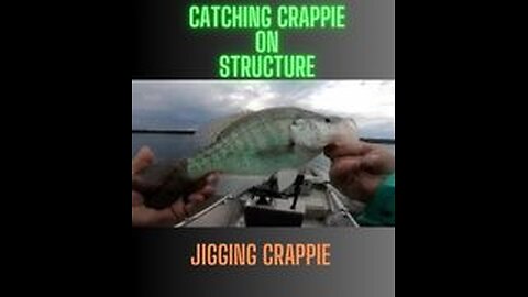 Pre-spawn creek crappie