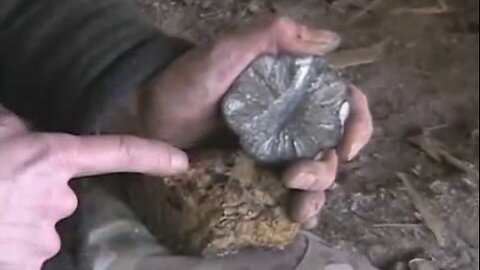 PRIMITIVE SKILLS, Spark Based Fire, Flint On Marcasite, With Just Rocks