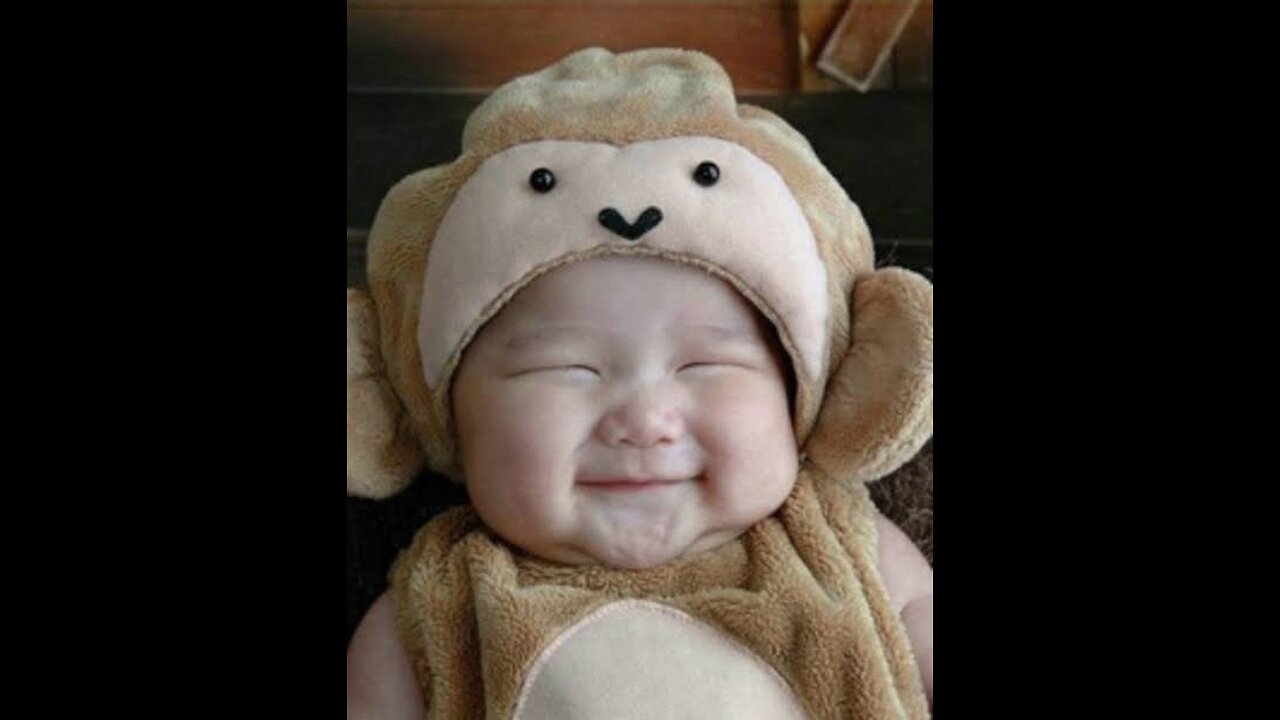 Funny Baby Videos Laughing