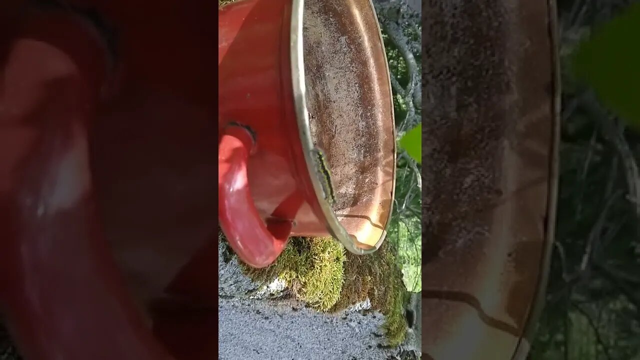 Bruco di Campotosto
