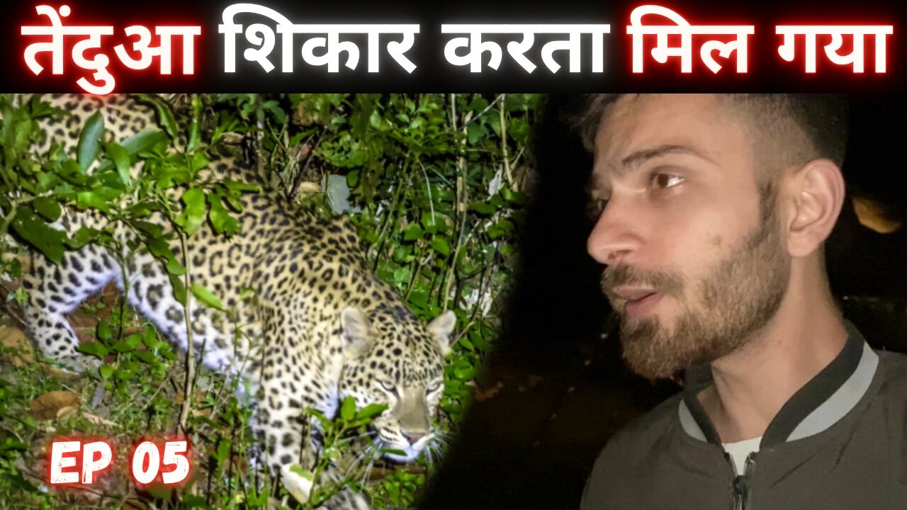 Live Encounter With Leopard 🐆 | Leopard Attack | Jim Corbett National Park