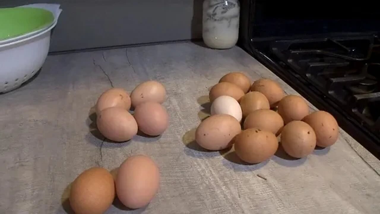 The EGG SAGA continues