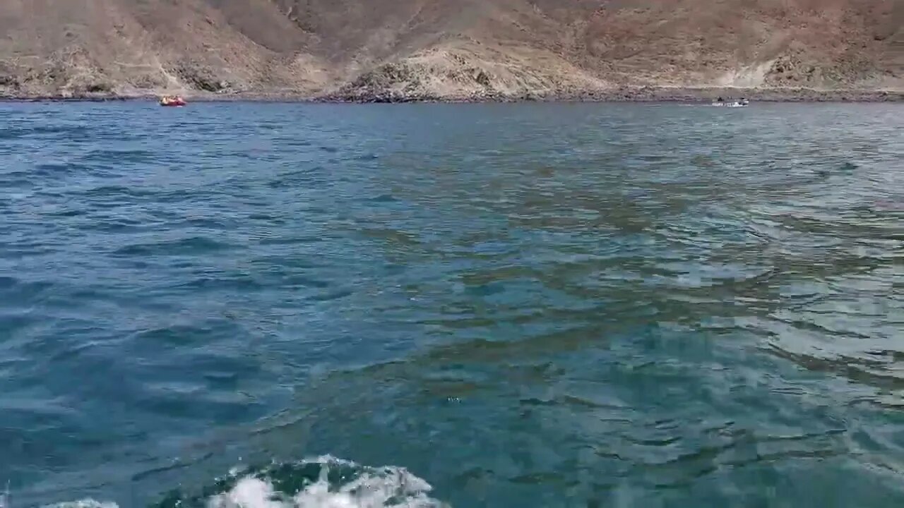 PASEO EN BOTE HACIA PLAYA CALETA COLORADA