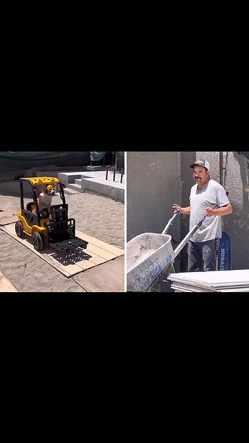 This dog is definitely a certified forklift driver