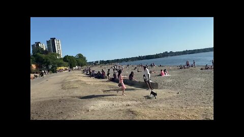 TAROT BY JANINE CHECKING IN FROM DOWNTOWN-BEACH SIDE, VANCOUVER CANADA 🇨🇦