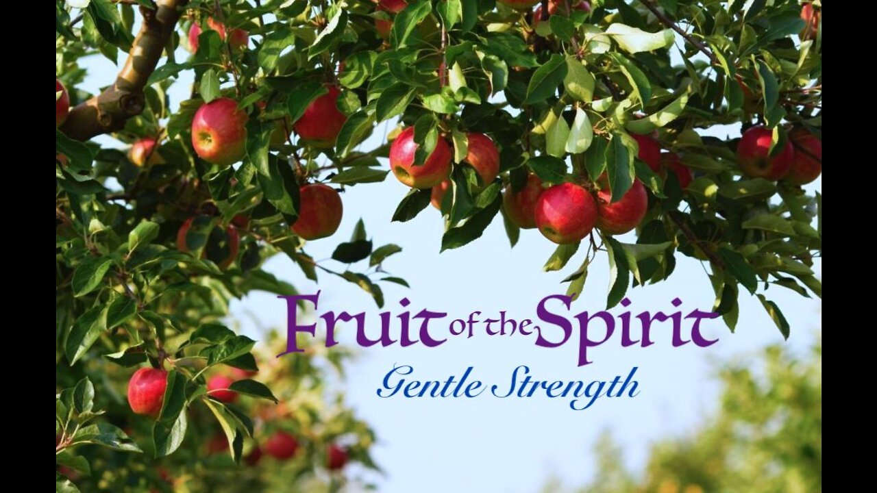 Fruit of the Spirit — Gentle Strength