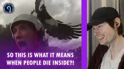 Watch People Die Inside #1 From Neety - Reaction - Scorpio Shadow