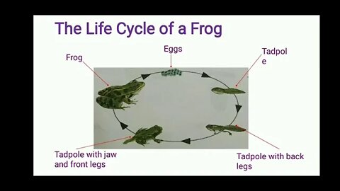 CLASS 3 SCIENCE UNIT 4 PART 1