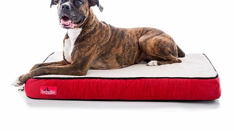 Replacement Covers for The Dog's Bed Orthopedic with Headrest, Washable Durable Fabrics