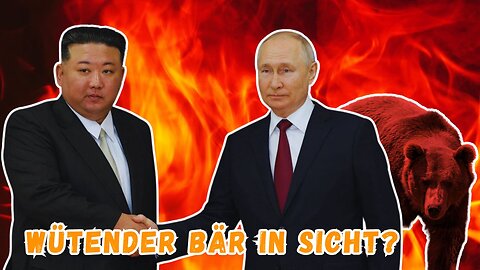 Achtung! Wütender Bär in Sicht? Das gefährliche Spiel mit Russland 🧨