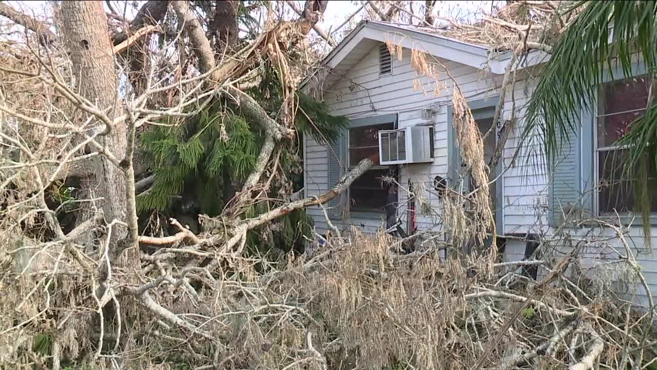 Homeowner asking for help after tree falls on home, preventing power restoration