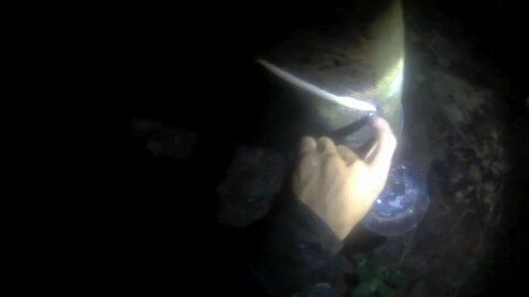 Ensino de rosqueamento elétrico de seringueira chinesa