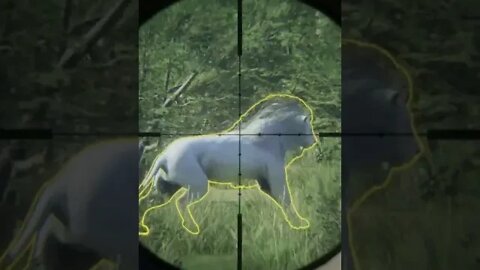 Albino Lion SURPRISE! Out of Nowhere😲, Throwback Thursday, theHunter Call of the Wild #shorts