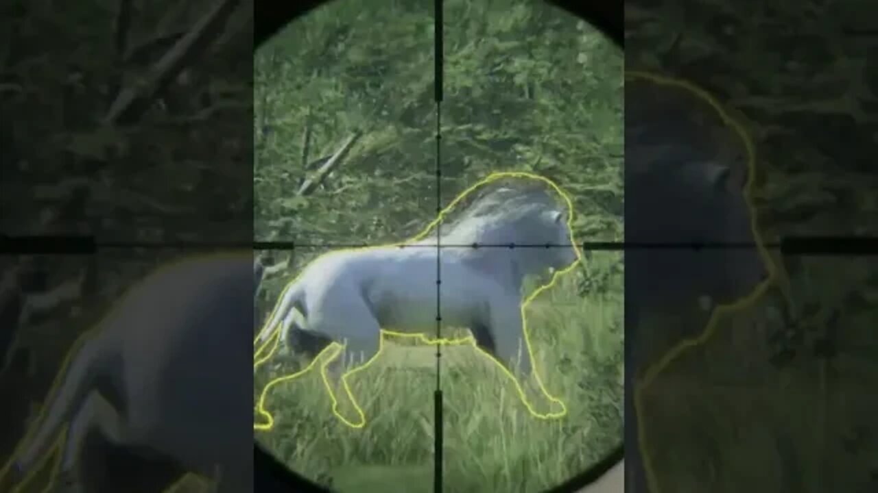 Albino Lion SURPRISE! Out of Nowhere😲, Throwback Thursday, theHunter Call of the Wild #shorts