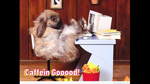 In The Doghouse #70 With The Bunny! BADLANDS FAN GROUP UPDATE! 11/24 Sun 7pm ET