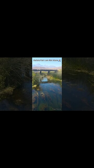 No Weapons Form Against Me-Will Prosper 🙏🏽💪🏾💯