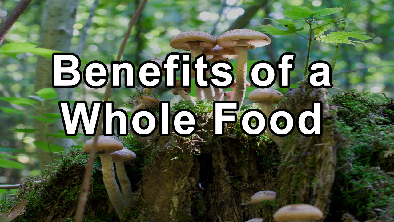 The Numerous Health Benefits of a Whole Food, Plant-Based Diet