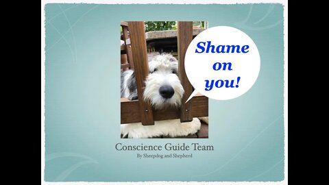 Shame CGT 11.0