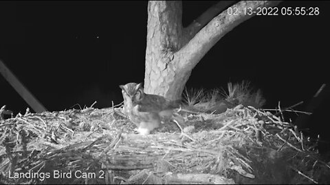 Mom's Morning Break-2 Views 🦉 2/13/22 5:55