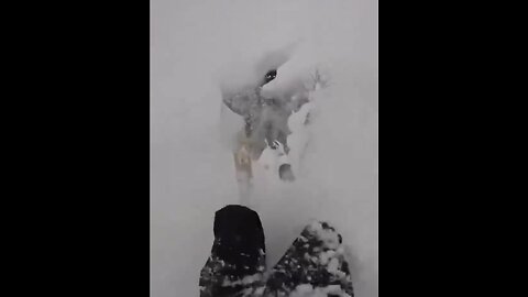 SKIER ADVENTURE🧗🏔️⛷️BECAME A DISASTER🧗‍♂️🏔️🏂💫
