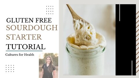 Gluten Free Sourdough Starter Tutorial | Cultures for Health