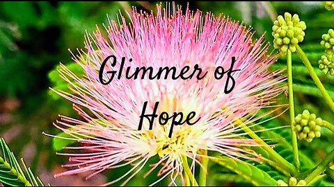 Glimmer of Hope