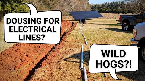 Dousing, hogs and landmines.