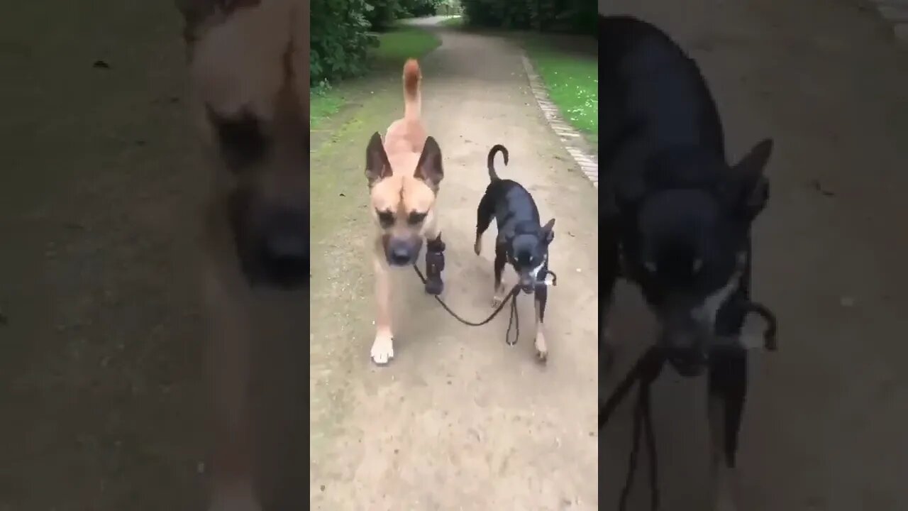 Awww