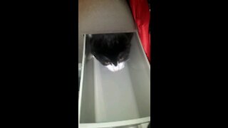 Baby Charlie Doesn't Want To Go To Bed