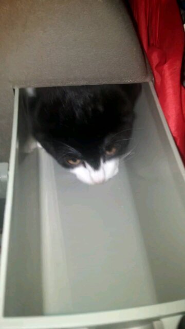 Baby Charlie Doesn't Want To Go To Bed