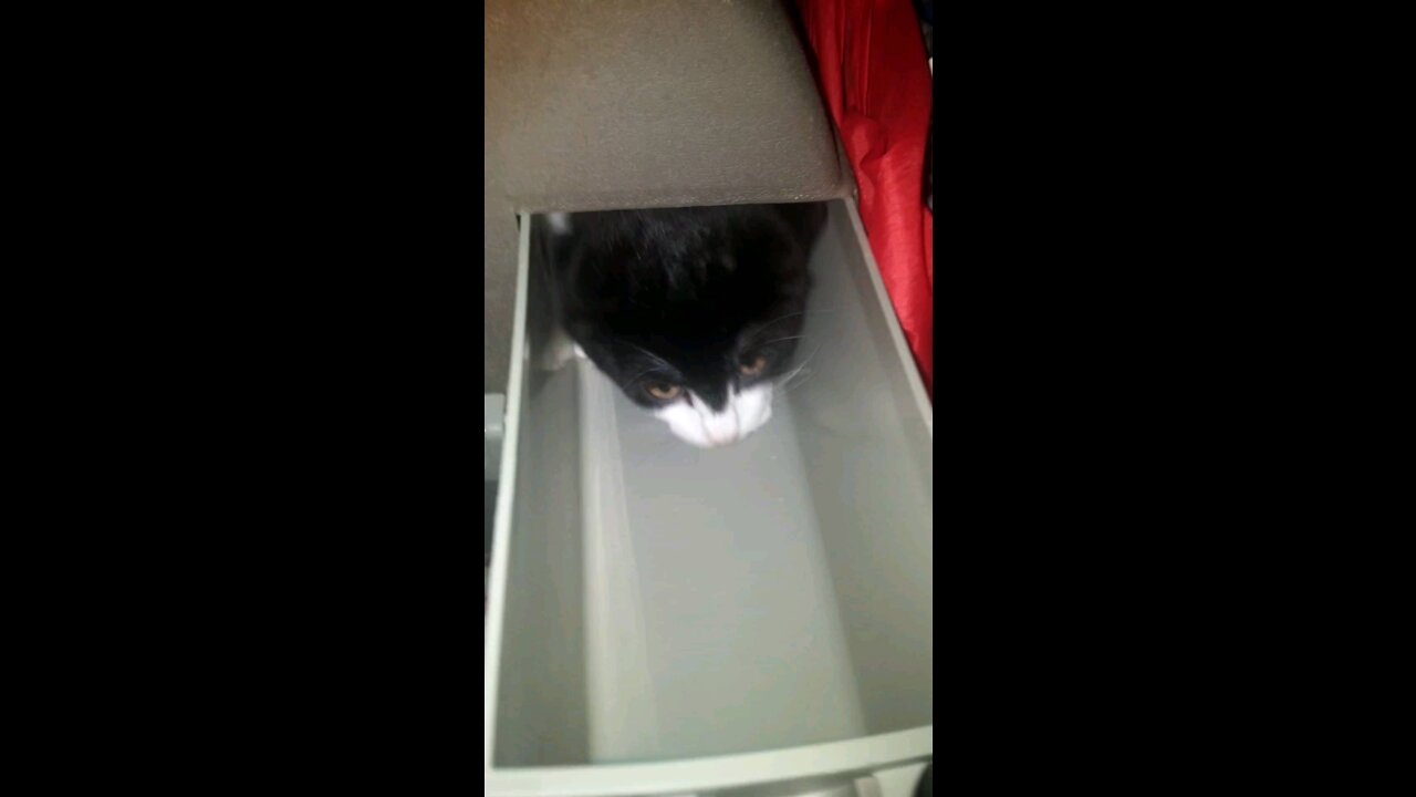 Baby Charlie Doesn't Want To Go To Bed