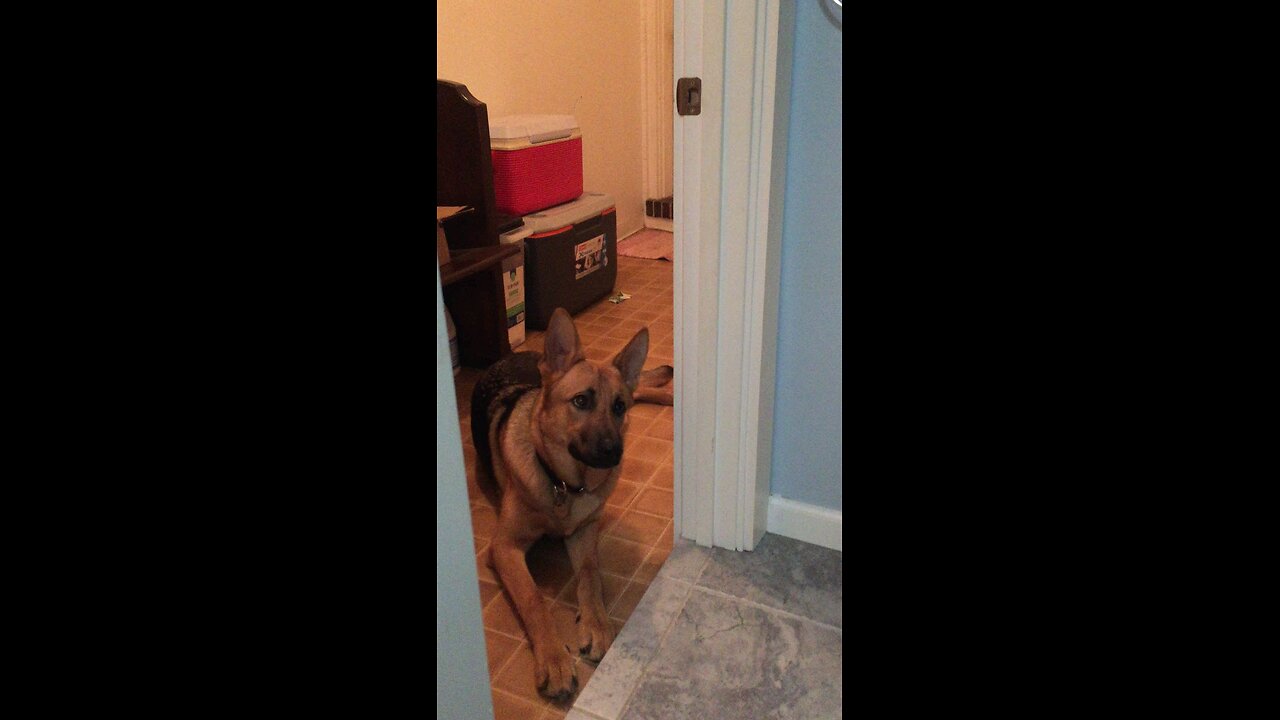 He don't like his ears cleaned