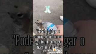 o esquilo está com muita sede da água para ele #shorts