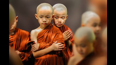 The Buddhist Philosophy - A Filosofia Budista