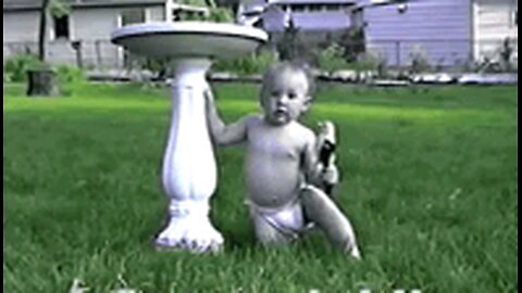 funny videos